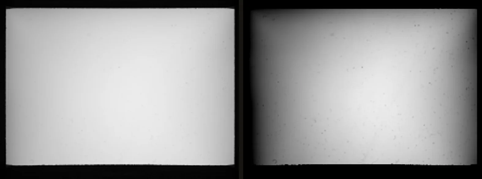 Two panels: one near-uniform white field, and the same field stretched hard to reveal falloff and dust.